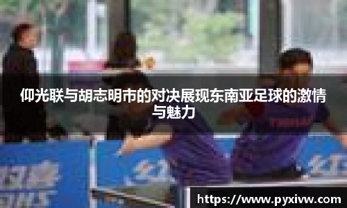 mksport官网入口