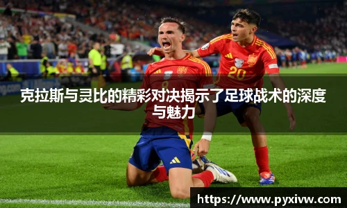 mksport体育