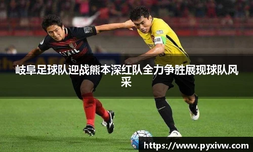 mksport体育在线