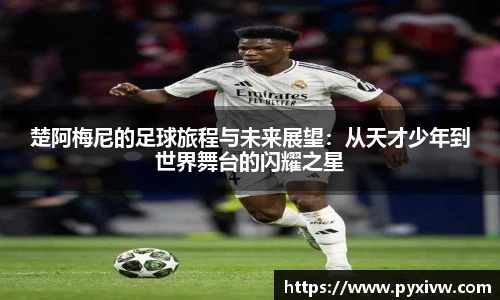mk官方网站入口