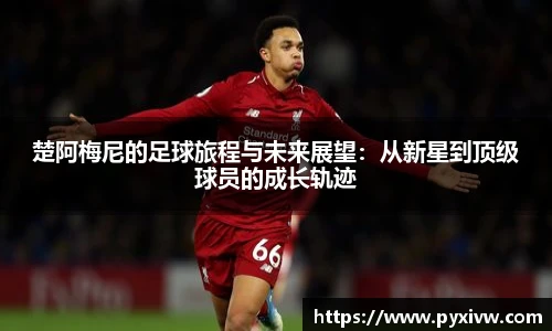 mksport体育在线