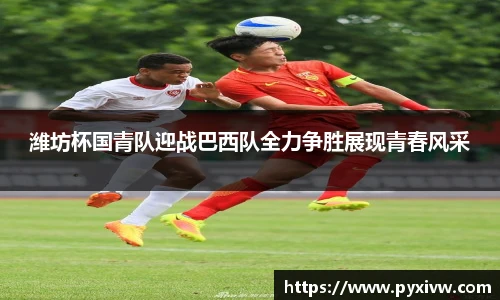 mksport体育