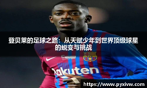 mk中国官网入口