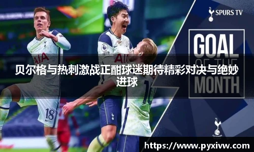 mksport体育