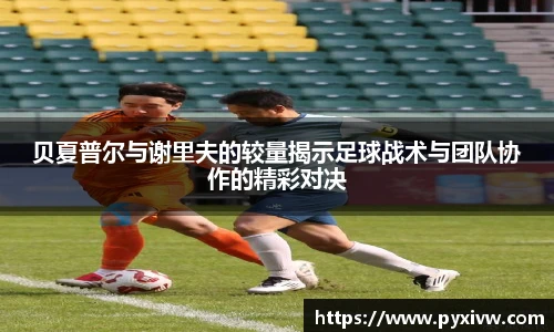 Mk Sports