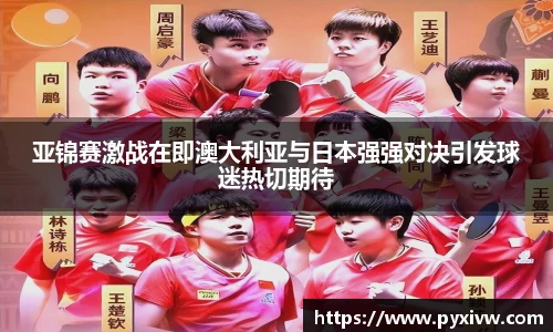 mksport官网入口