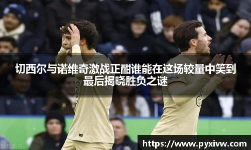 mksport官网入口